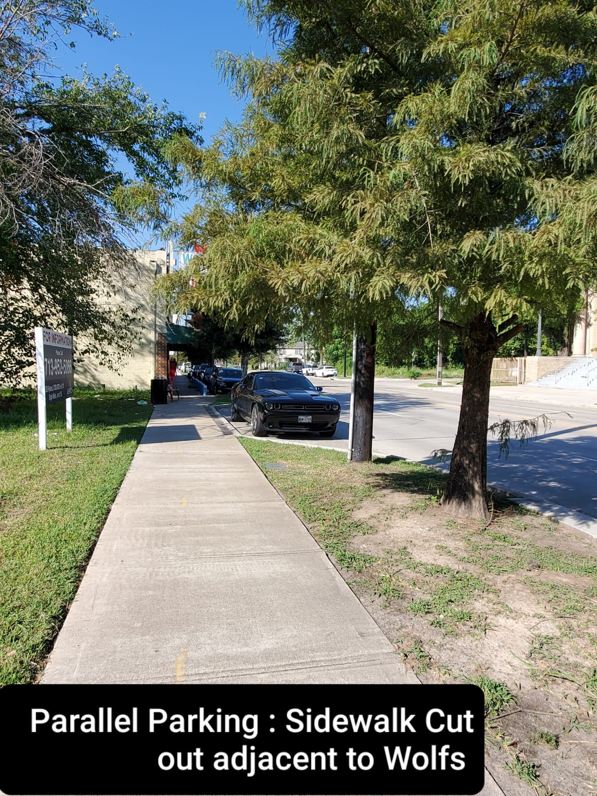 Parellel Parking: Sidewalk Cut out Adjacent to Wolfs